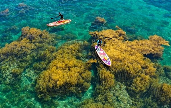 Cảnh đẹp trong Tour Hòn Khô Hải Giang MerryLand 1 ngày từ Quy Nhơn