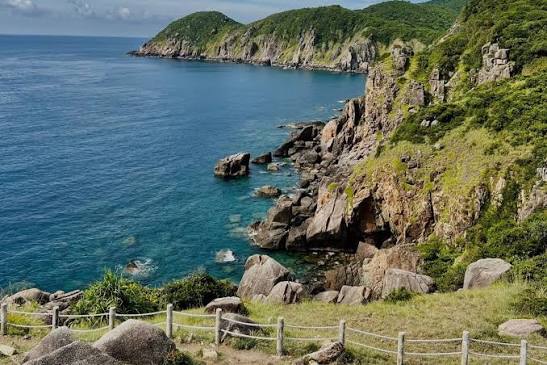 Cảnh đẹp trong Tour Quy Nhơn Phú Yên 1 ngày - Xứ hoa vàng cỏ xanh