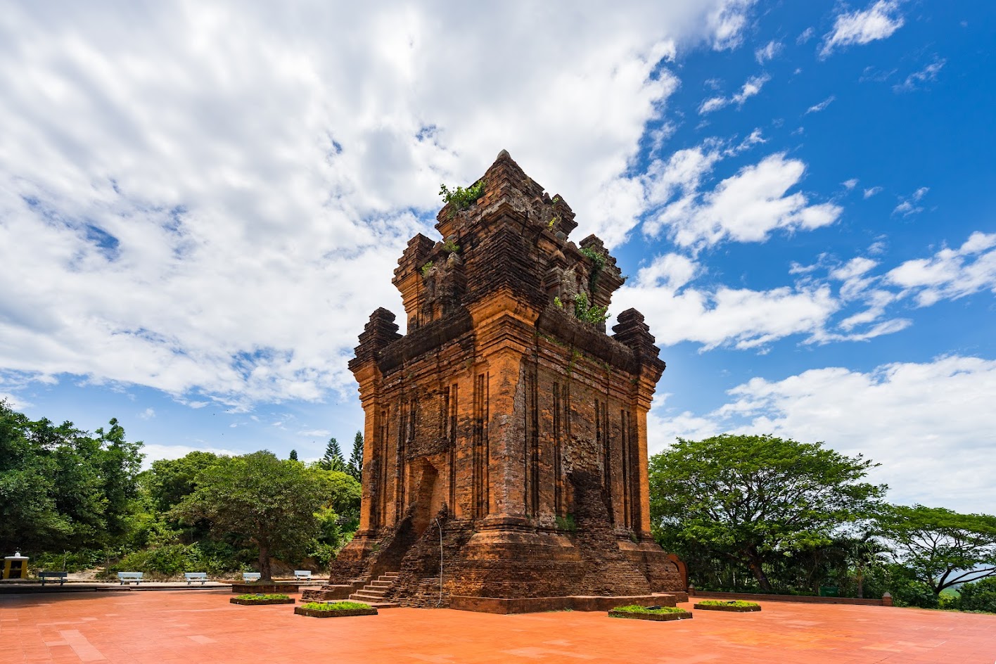 Điểm tham quan trong Tour Quy Nhơn Phú Yên 1 ngày - Xứ hoa vàng cỏ xanh