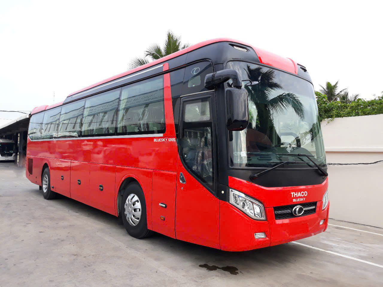 Xe 45 chỗ - ảnh 10